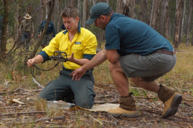 Two people training in the use of dog traps